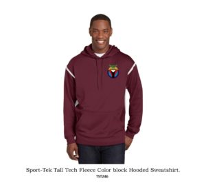 color block hooded sweatshirt